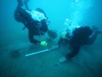 {{brizy_dc_image_alt entityId=